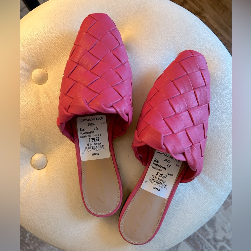 Pink NWT - never worn cute flats!